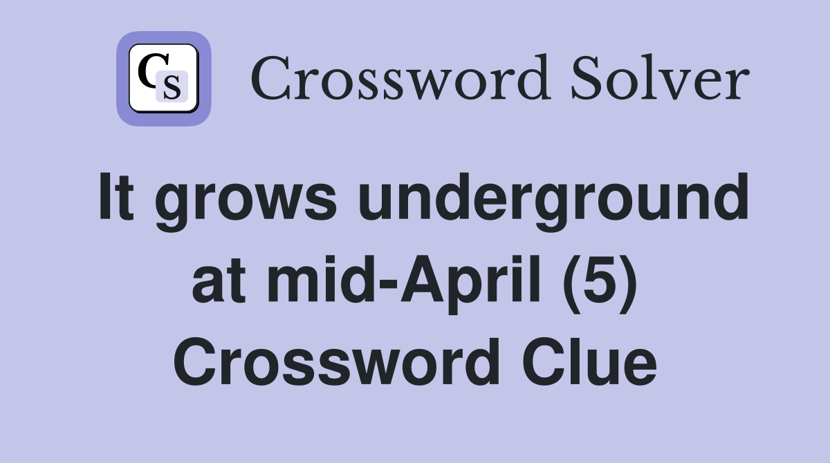 It grows underground at mid-April (5) Crossword Clue