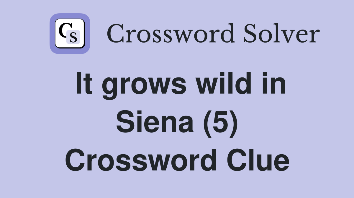 It grows wild in Siena (5) Crossword Clue