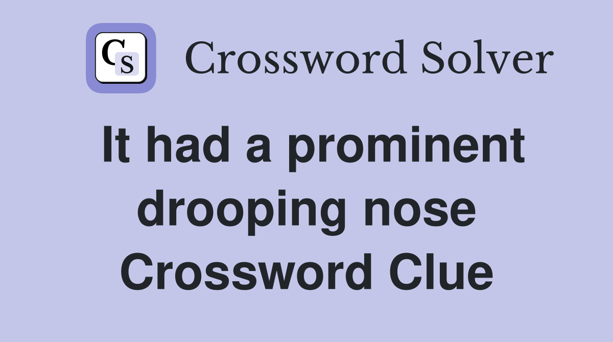 It had a prominent drooping nose Crossword Clue