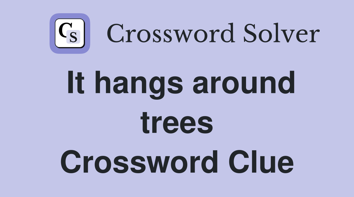 It hangs around trees Crossword Clue