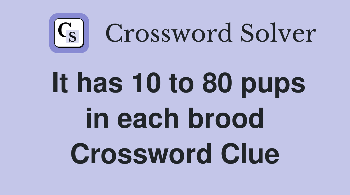 It has 10 to 80 pups in each brood Crossword Clue