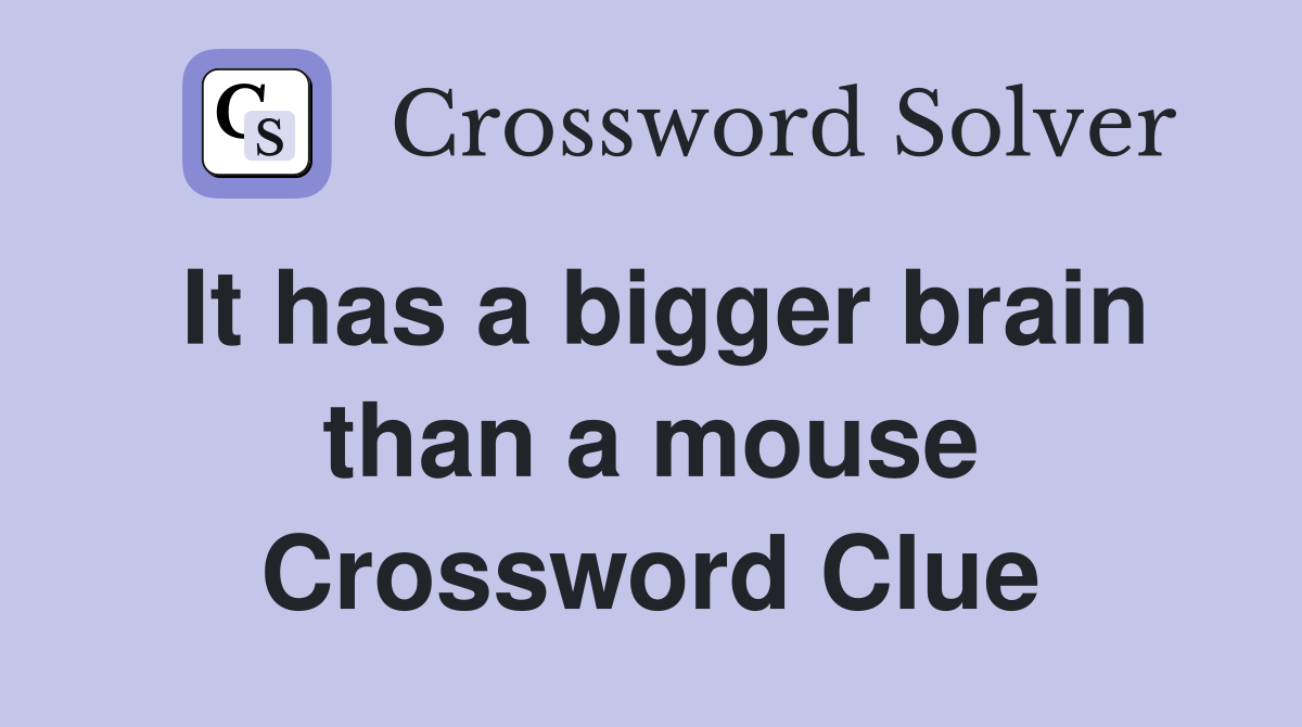 It has a bigger brain than a mouse Crossword Clue