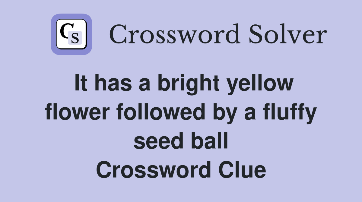 It has a bright yellow flower followed by a fluffy seed ball Crossword Clue