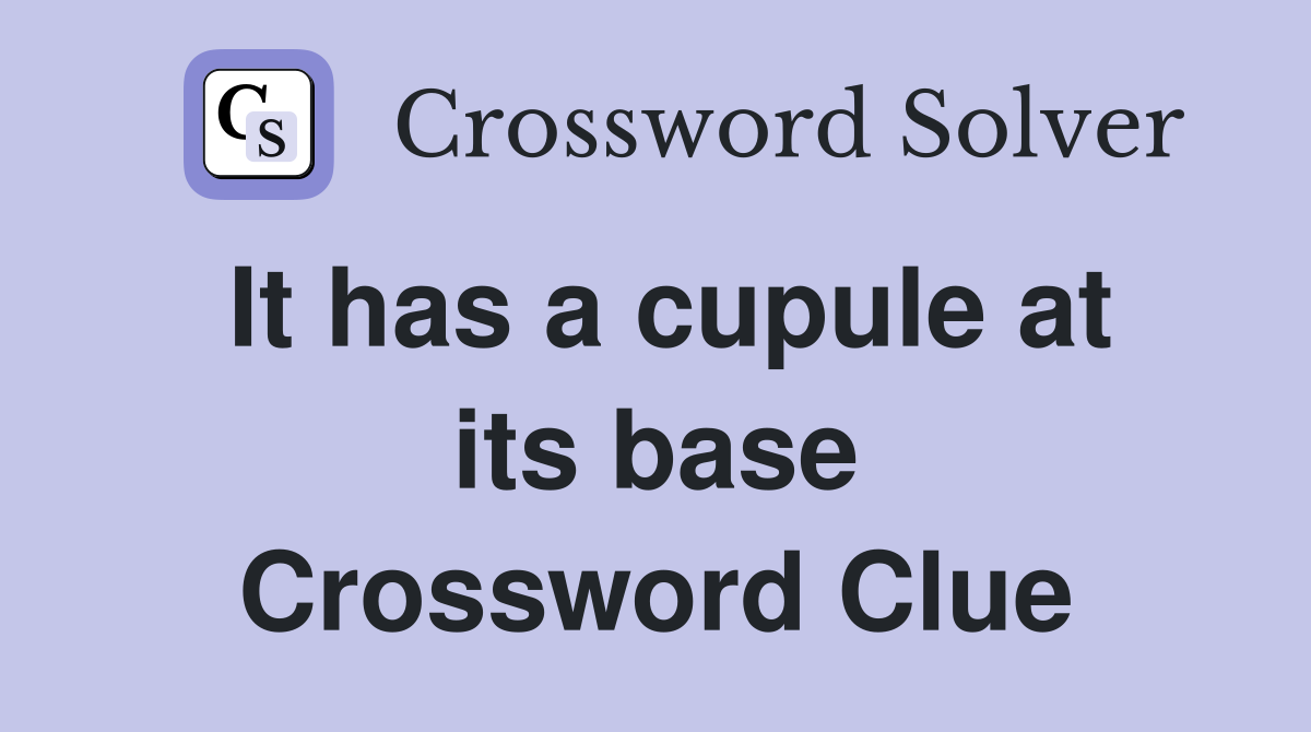 It has a cupule at its base Crossword Clue