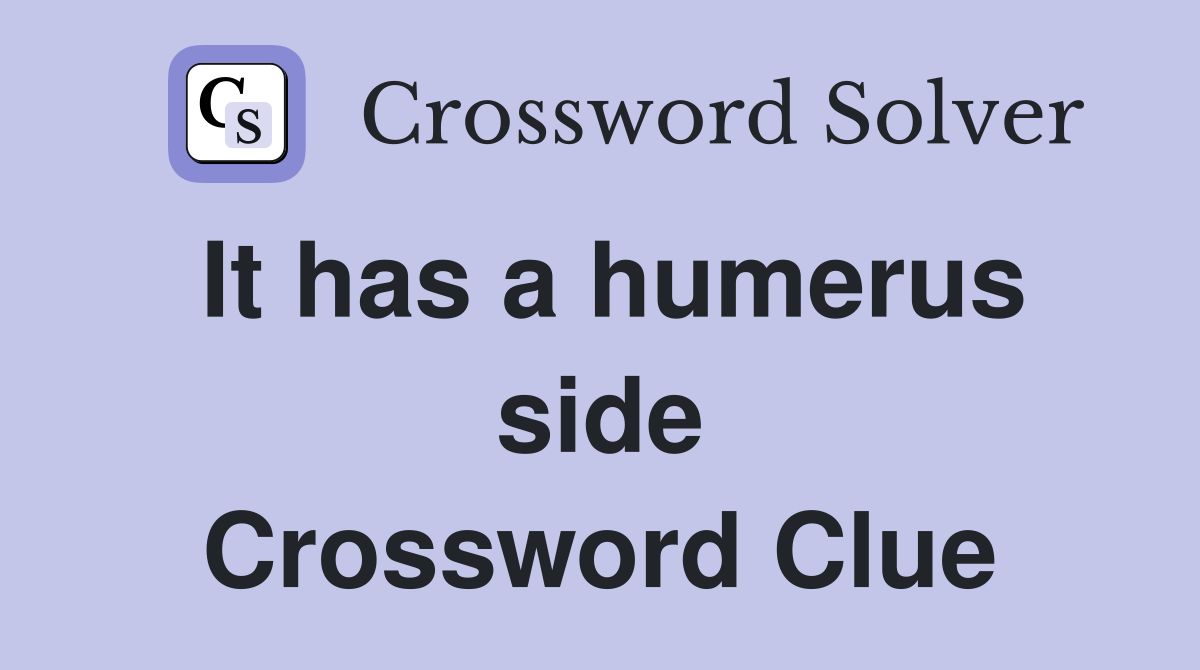 It has a humerus side Crossword Clue