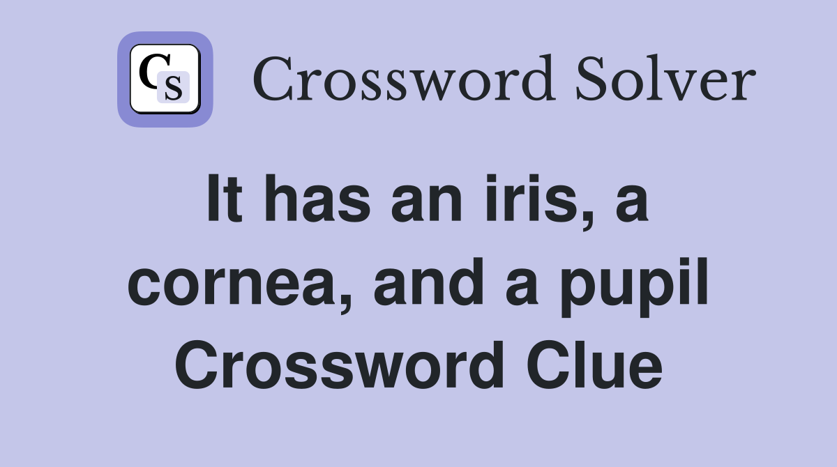 It has an iris, a cornea, and a pupil Crossword Clue