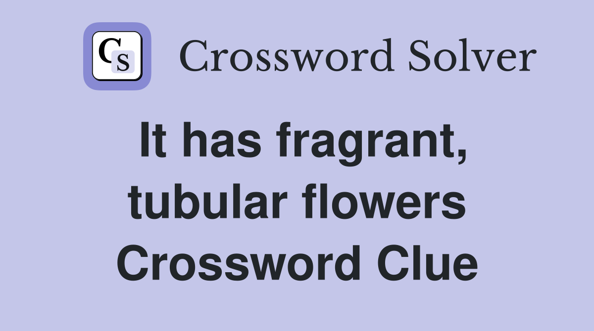 It has fragrant, tubular flowers Crossword Clue