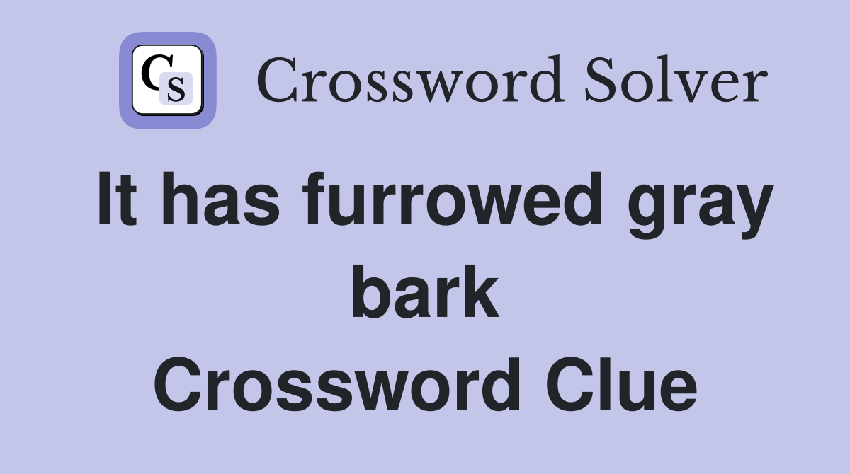 It has furrowed gray bark Crossword Clue