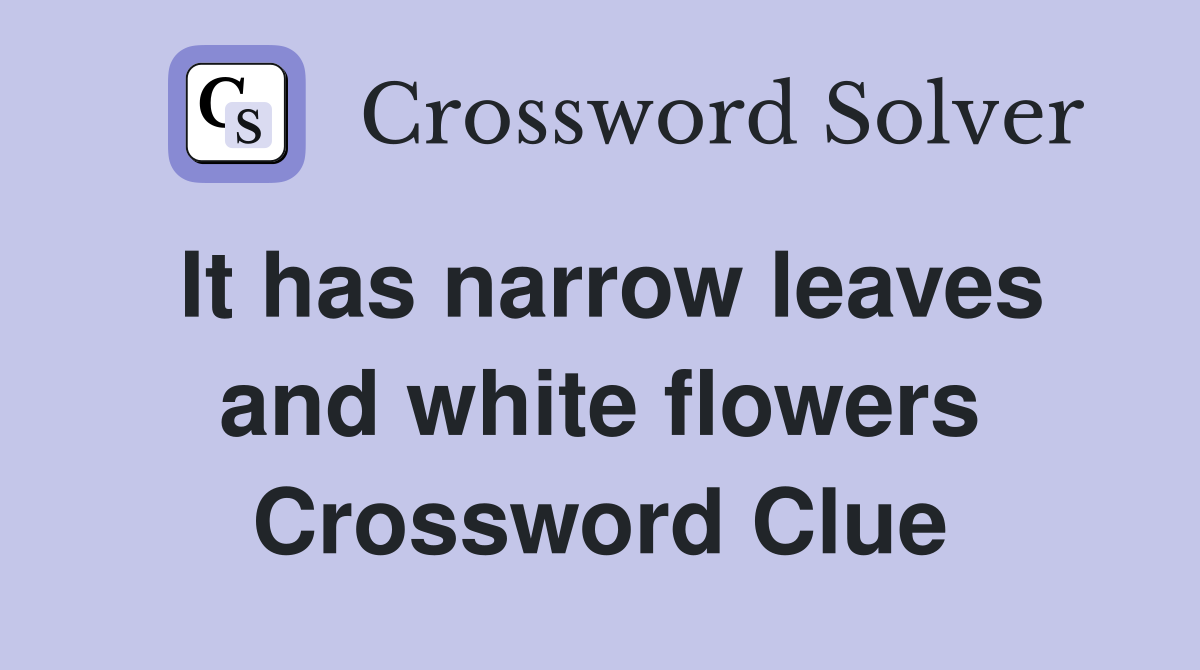 It has narrow leaves and white flowers Crossword Clue