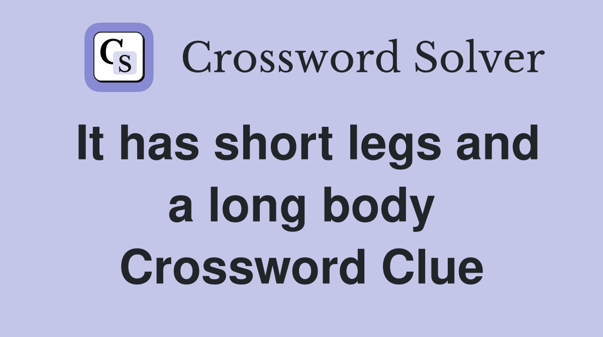 It has short legs and a long body Crossword Clue