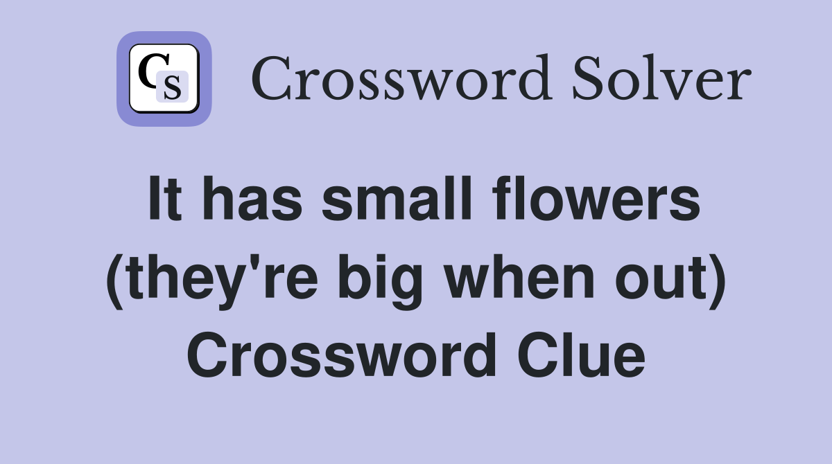 It has small flowers (they're big when out) Crossword Clue