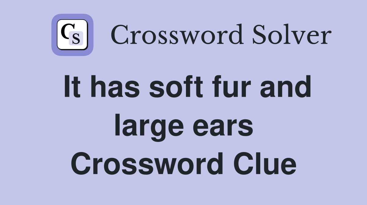 It has soft fur and large ears Crossword Clue