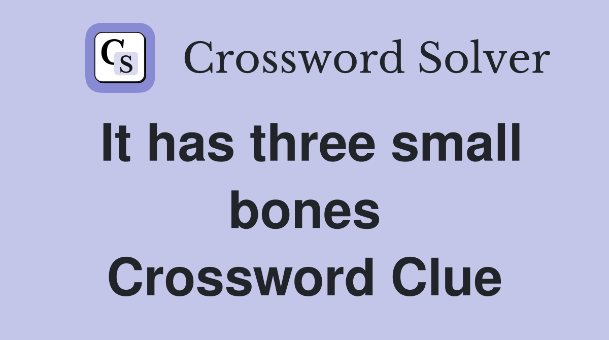 It has three small bones Crossword Clue