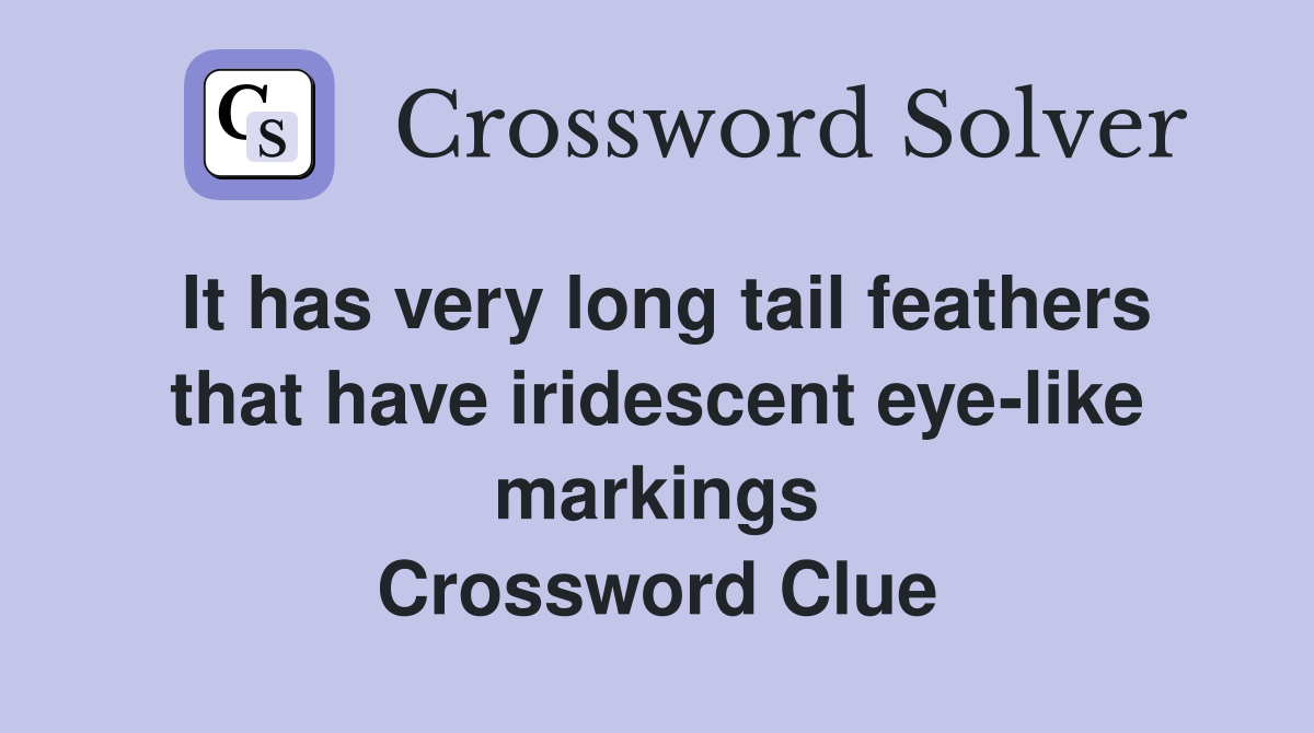 It has very long tail feathers that have iridescent eye-like markings Crossword Clue