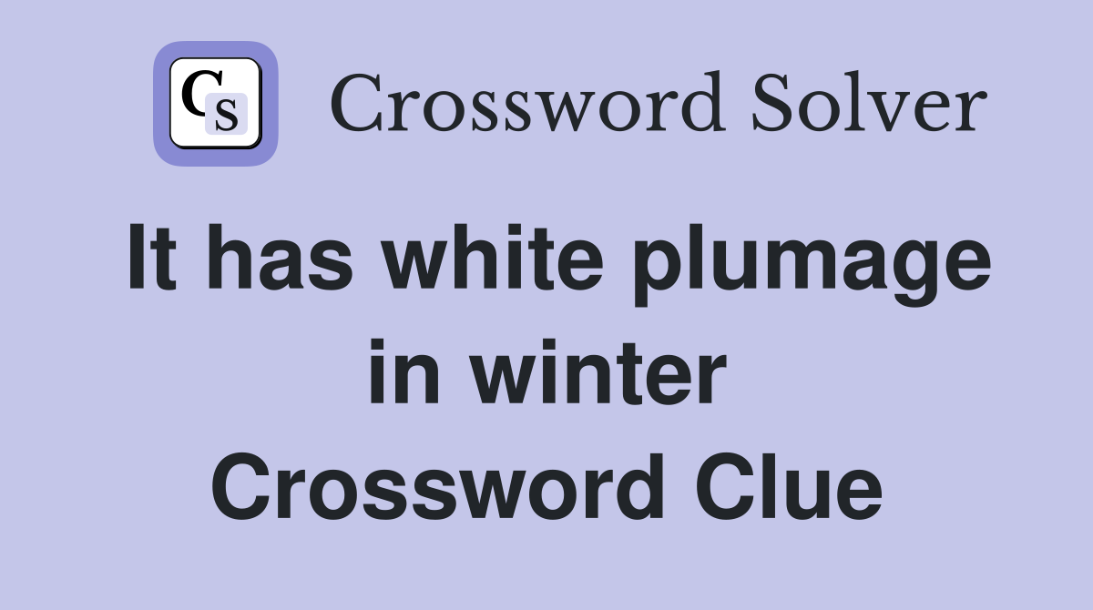 It has white plumage in winter Crossword Clue