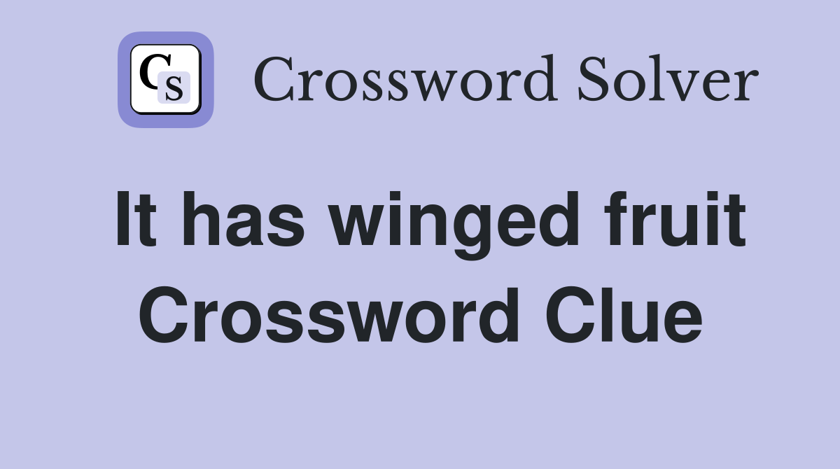 It has winged fruit Crossword Clue