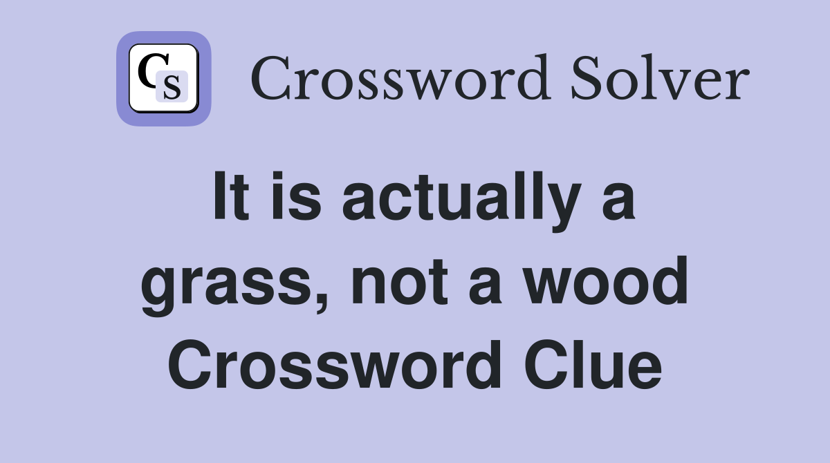 It is actually a grass, not a wood Crossword Clue