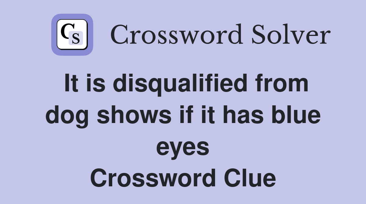 It is disqualified from dog shows if it has blue eyes Crossword Clue
