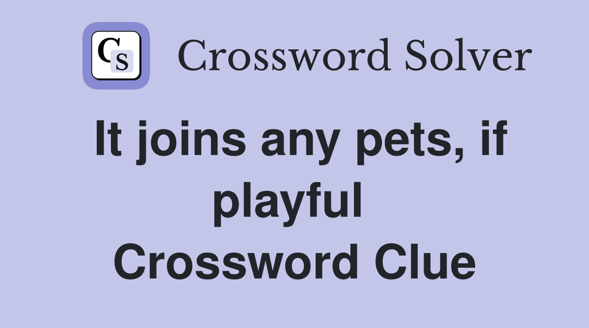It joins any pets, if playful  Crossword Clue