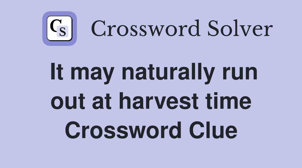 It may naturally run out at harvest time Crossword Clue