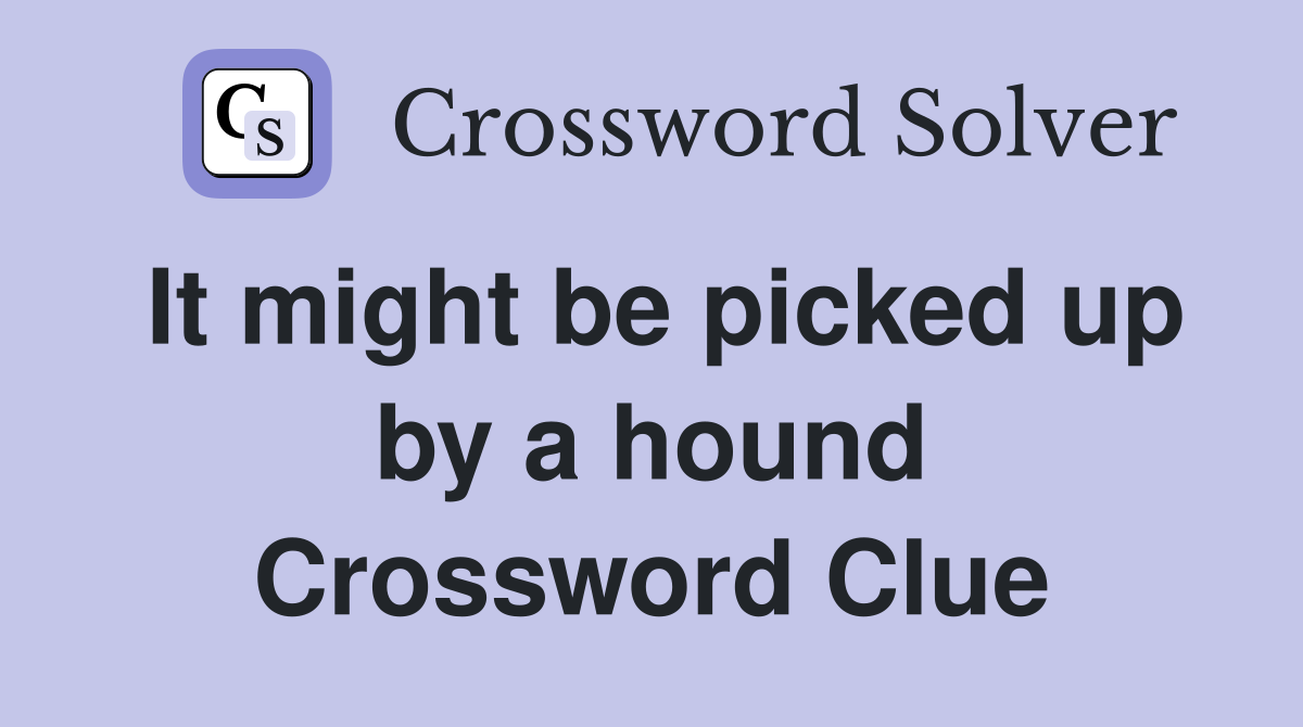 It might be picked up by a hound Crossword Clue