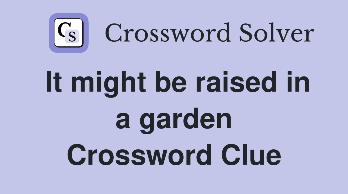 It might be raised in a garden Crossword Clue