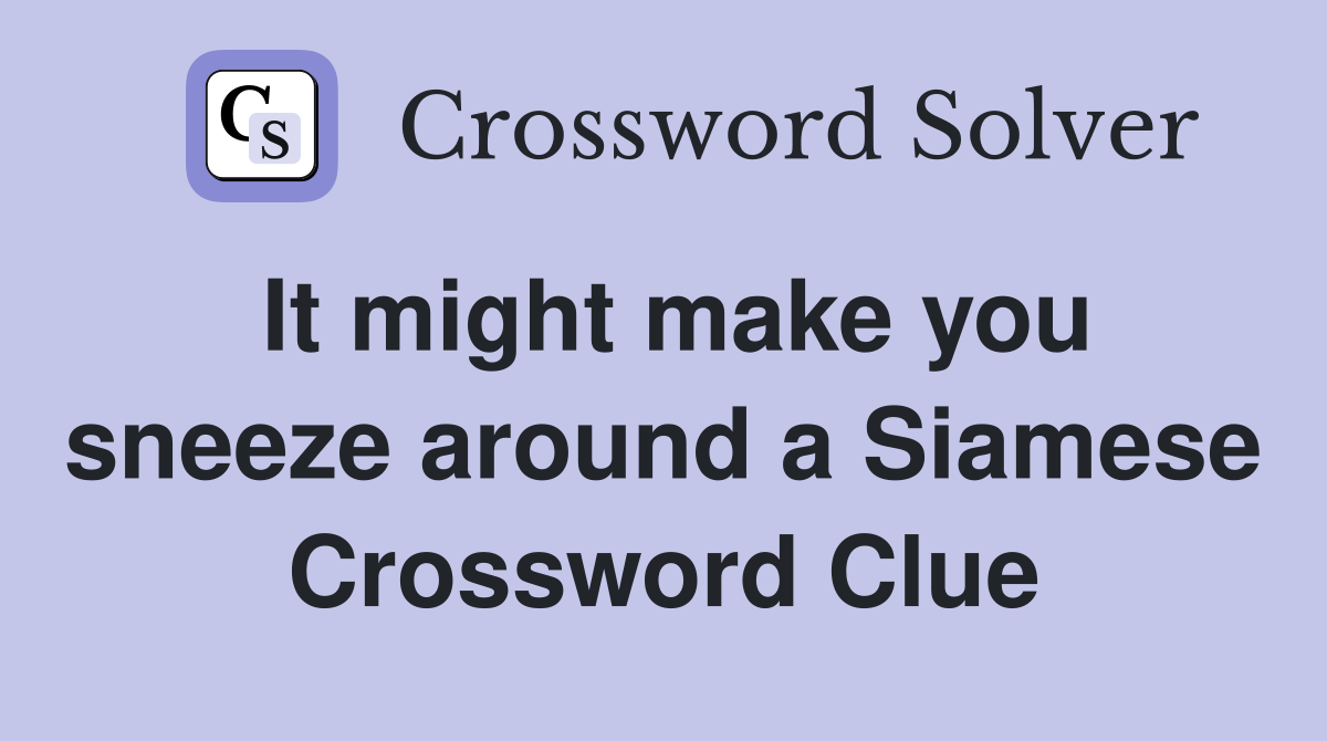 It might make you sneeze around a Siamese Crossword Clue
