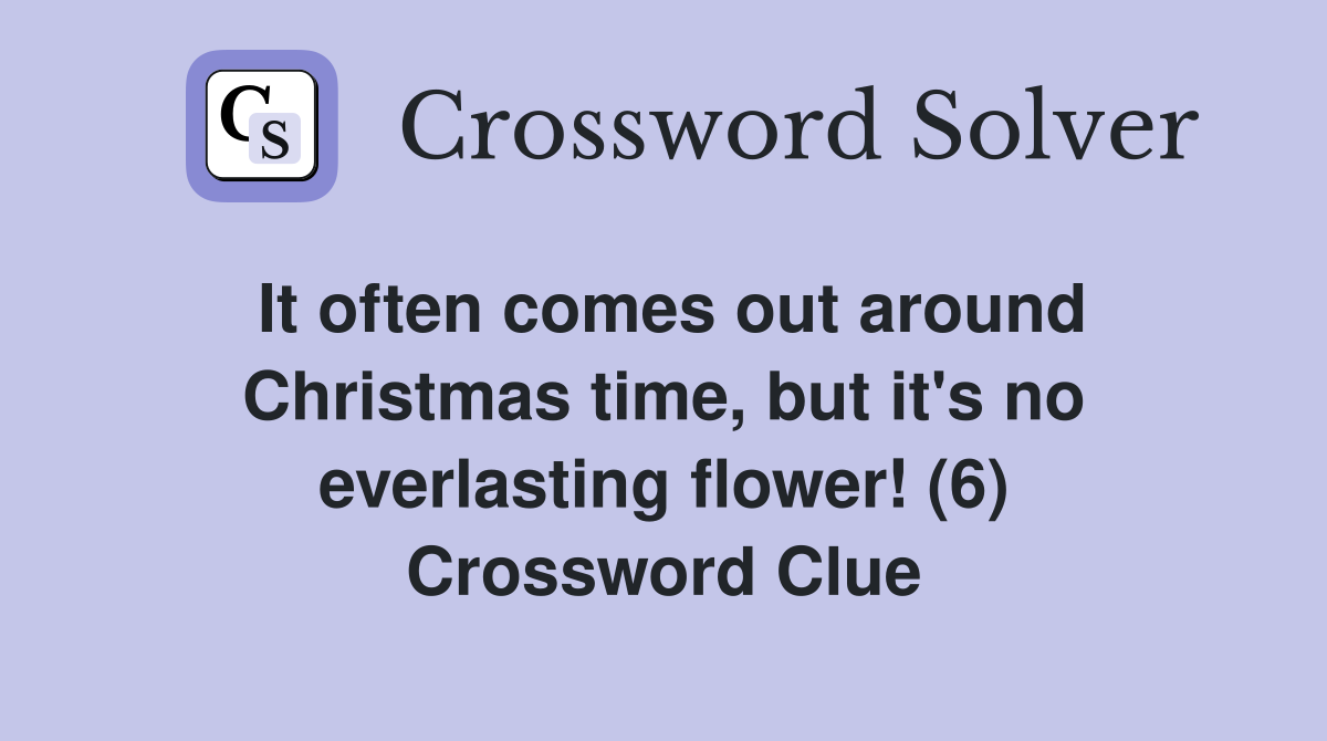 It often comes out around Christmas time, but it's no everlasting flower! (6) Crossword Clue