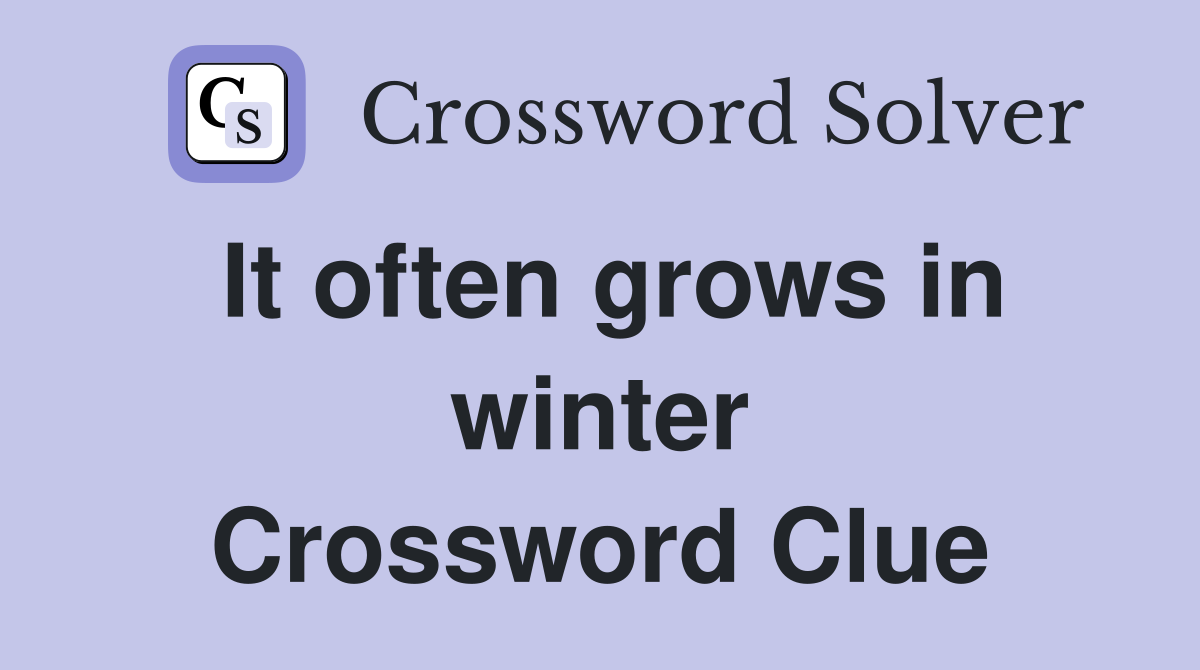 It often grows in winter Crossword Clue