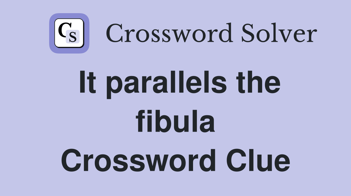 It parallels the fibula Crossword Clue