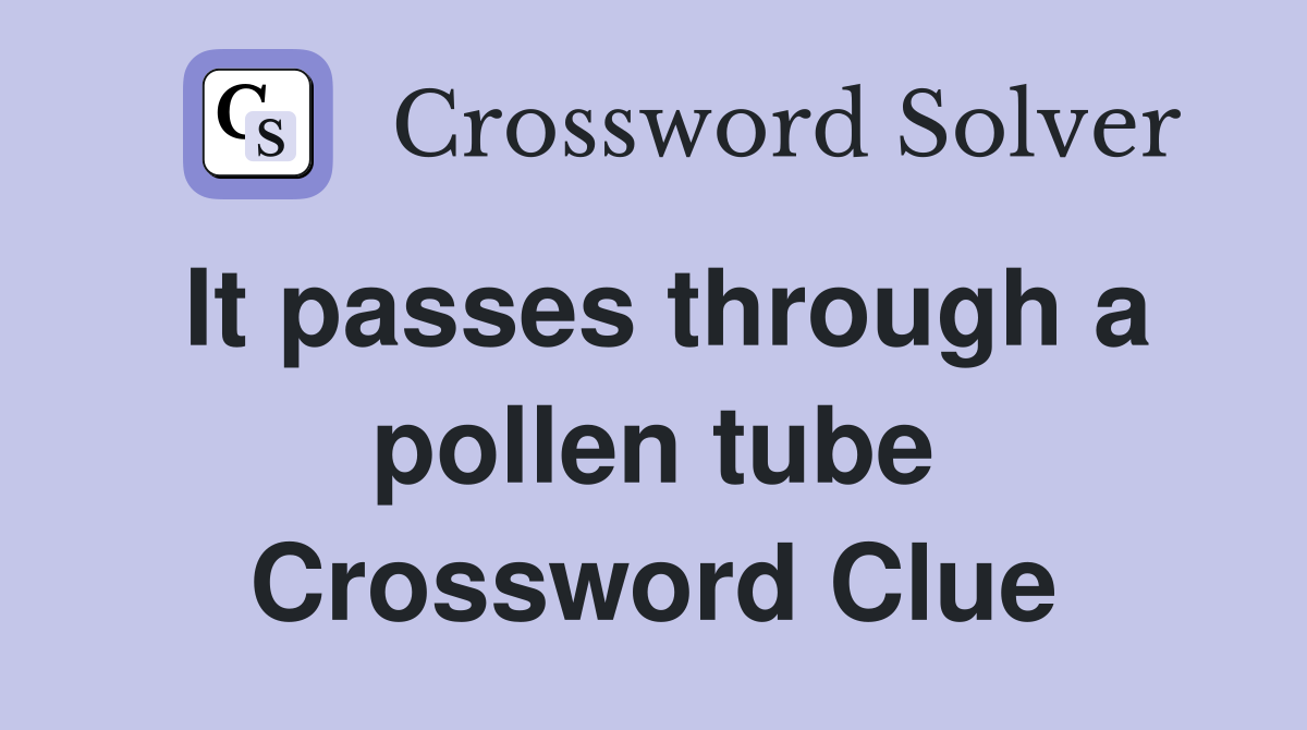 It passes through a pollen tube Crossword Clue