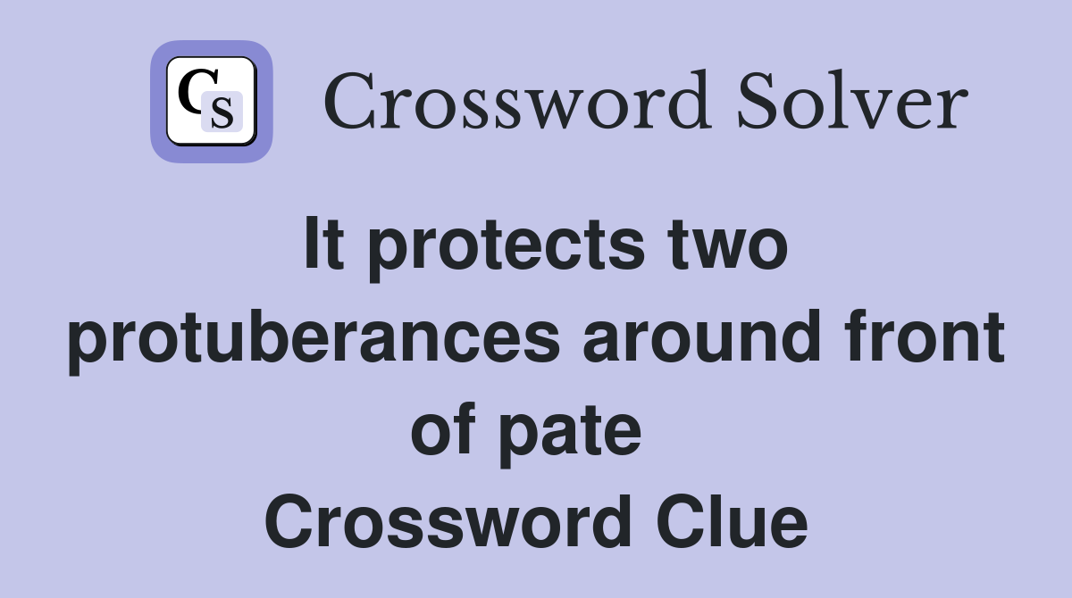 It protects two protub­erances around front of pate  Crossword Clue
