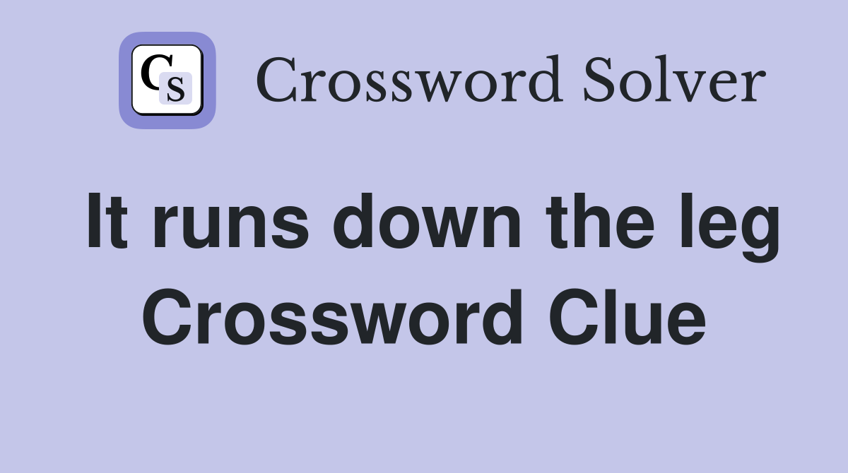 It runs down the leg Crossword Clue