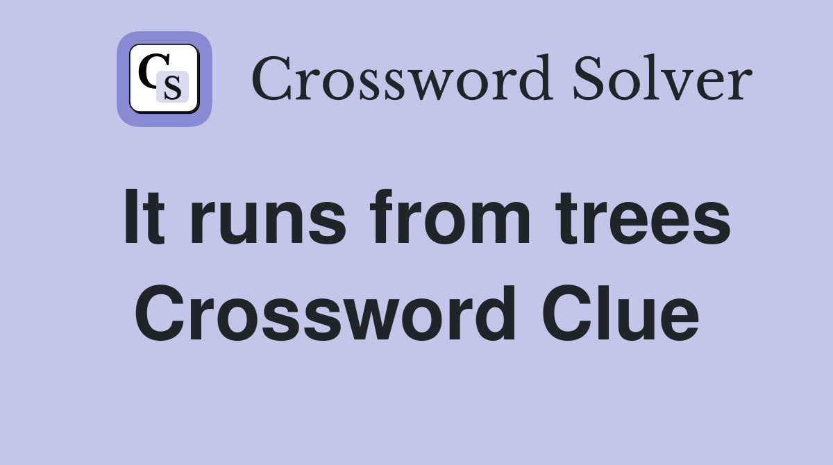 It runs from trees Crossword Clue