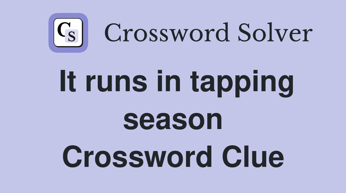 It runs in tapping season Crossword Clue
