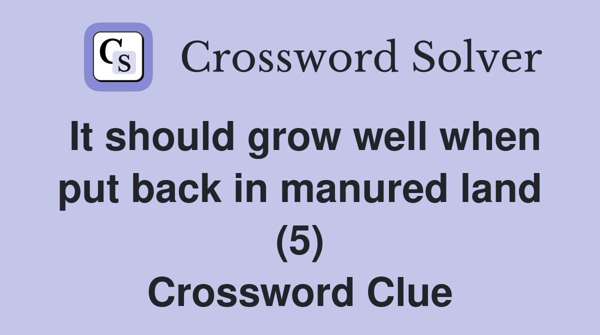 It should grow well when put back in manured land (5) Crossword Clue