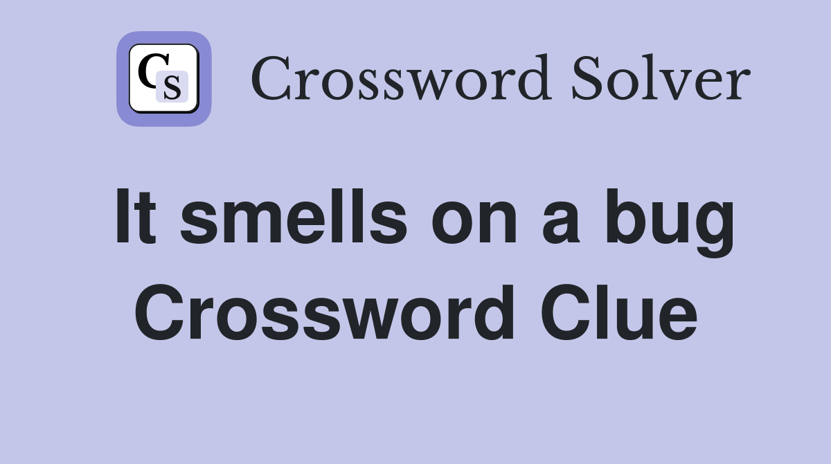 It smells on a bug Crossword Clue