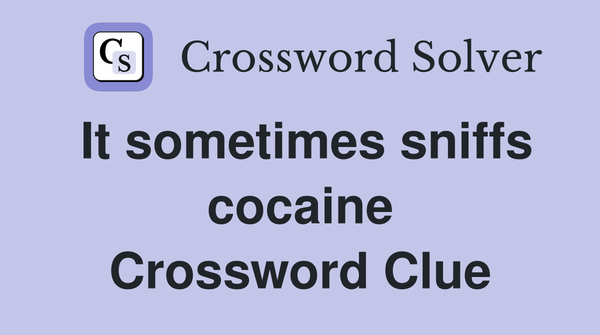 It sometimes sniffs cocaine Crossword Clue