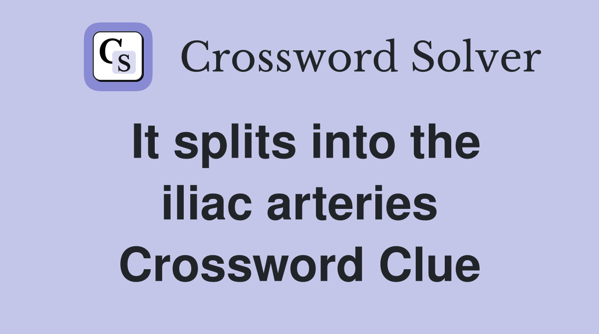 It splits into the iliac arteries Crossword Clue