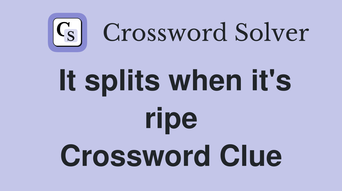 It splits when it's ripe Crossword Clue