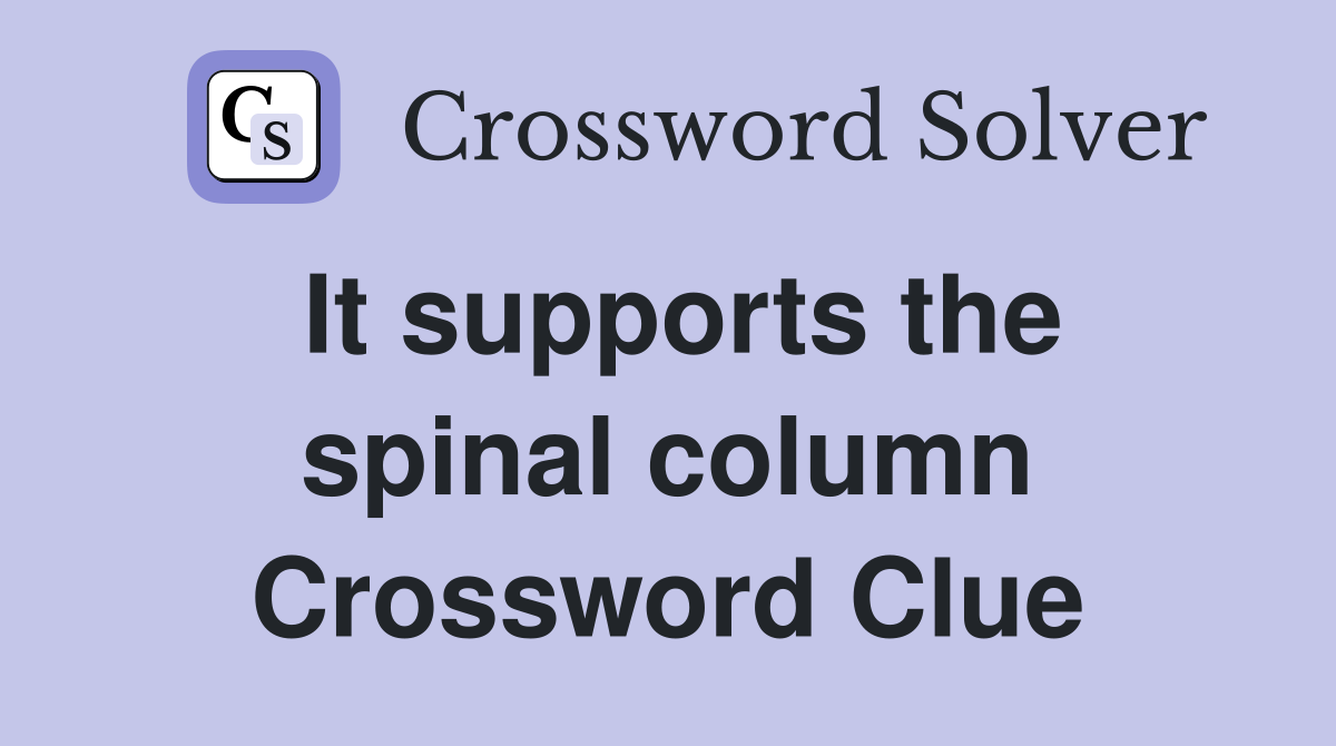 It supports the spinal column Crossword Clue