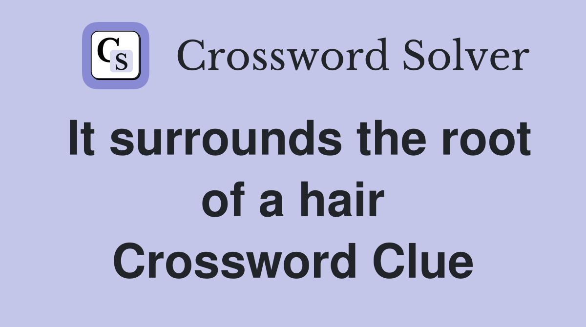 It surrounds the root of a hair Crossword Clue