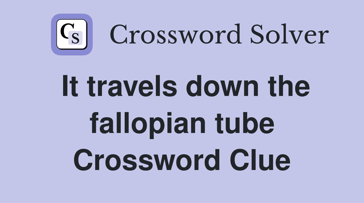 It travels down the fallopian tube Crossword Clue