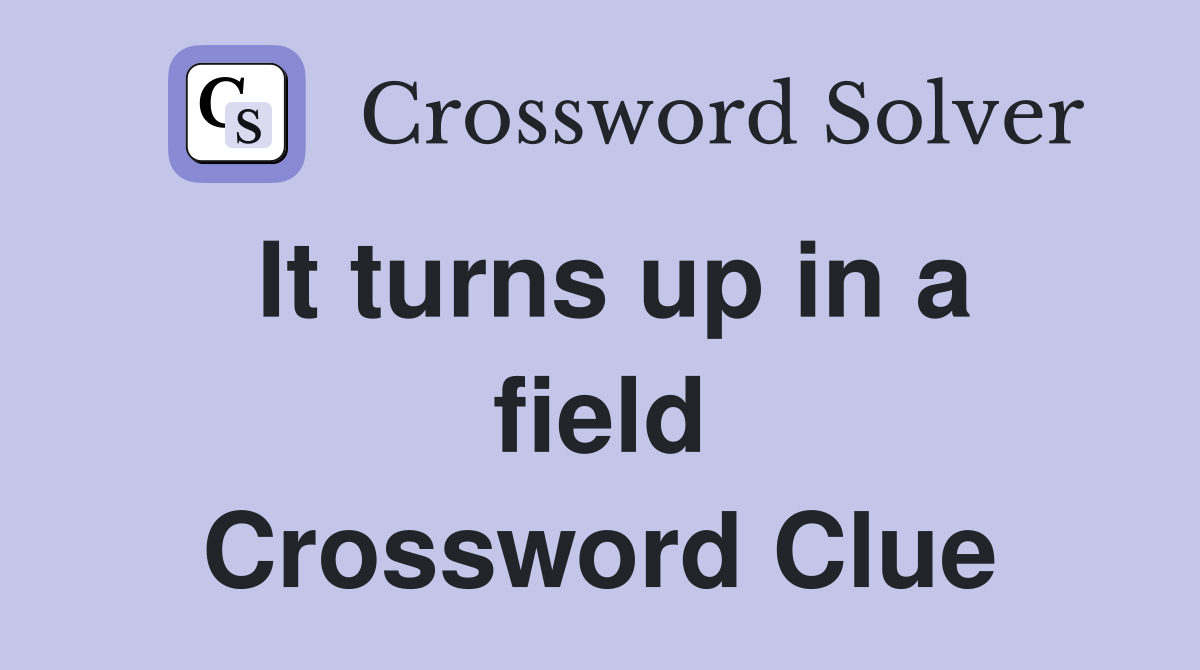 It turns up in a field Crossword Clue