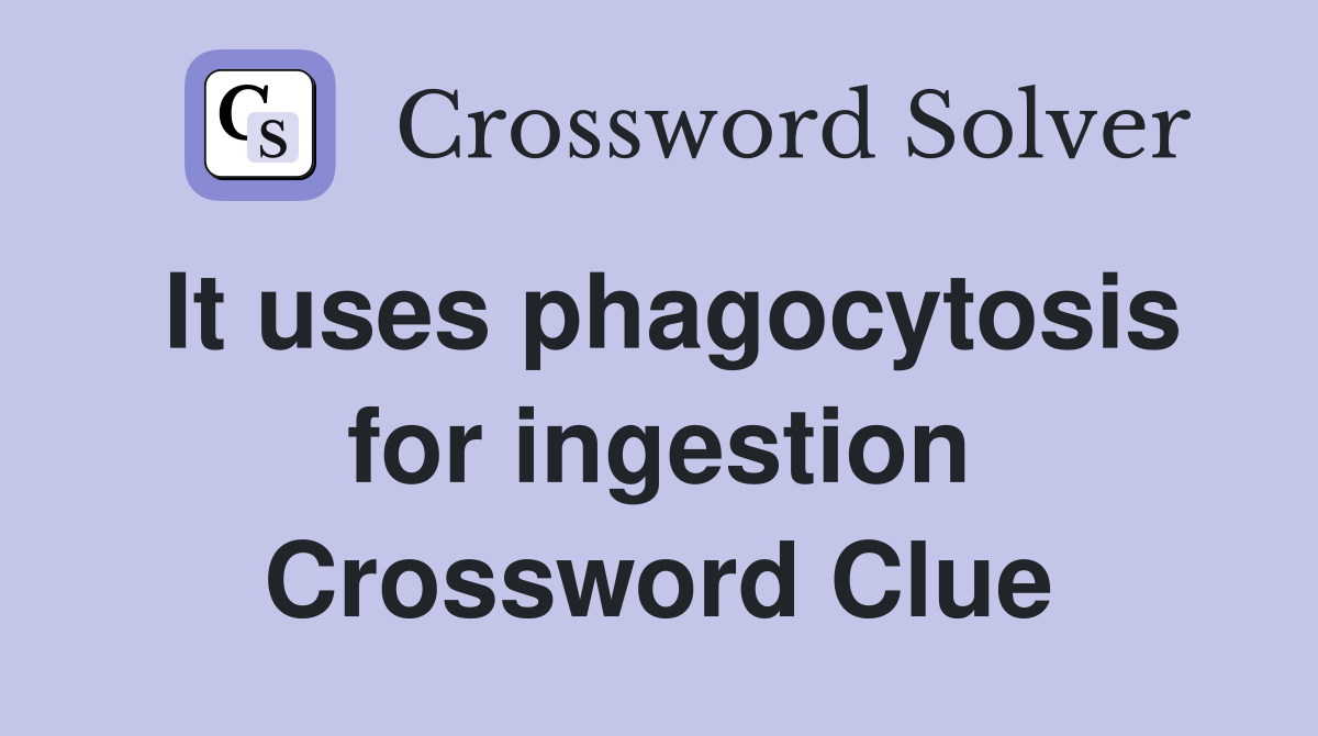 It uses phagocytosis for ingestion Crossword Clue