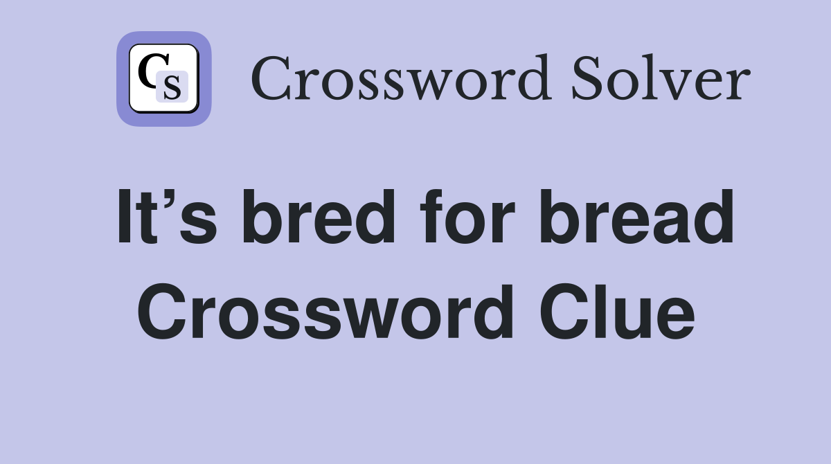 It’s bred for bread Crossword Clue