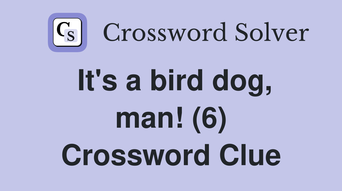 It's a bird dog, man! (6) Crossword Clue