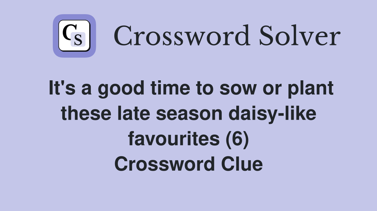It's a good time to sow or plant these late season daisy-like favourites (6) Crossword Clue