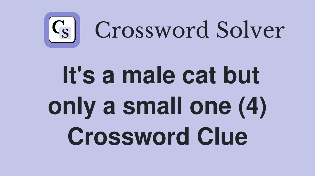 It's a male cat but only a small one (4) Crossword Clue