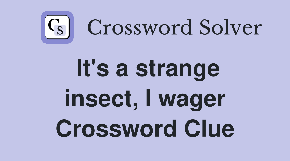 It's a strange insect, I wager Crossword Clue